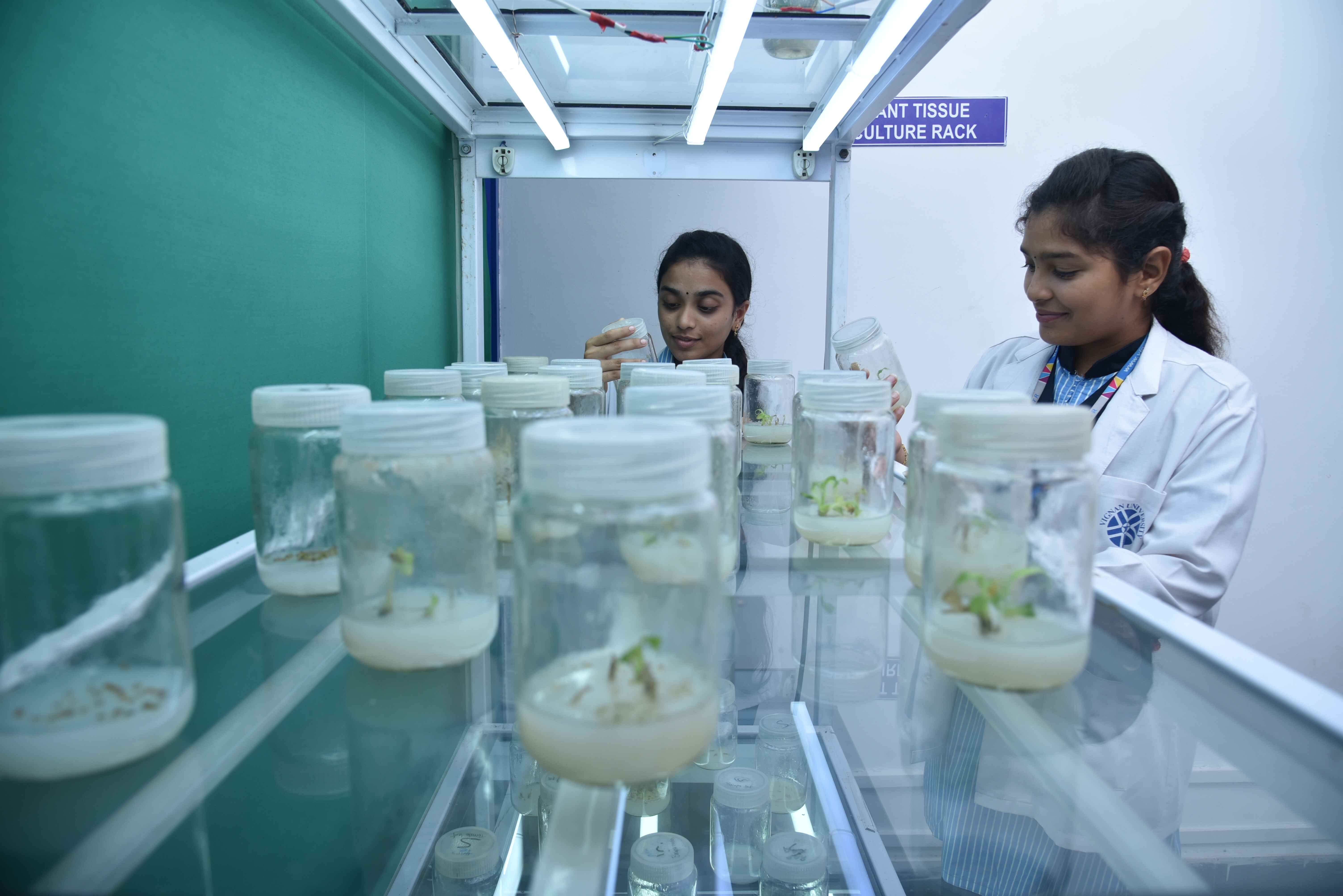 dep_assets/images/Biotechnology/BIgeneralLab3.jpg